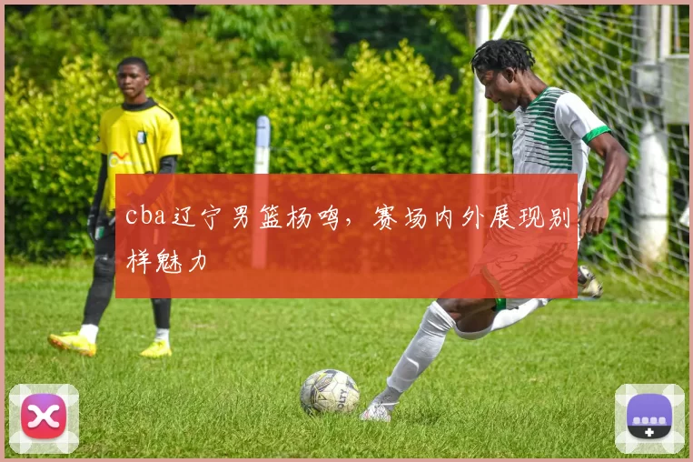 cba辽宁男篮杨鸣，赛场内外展现别样魅力