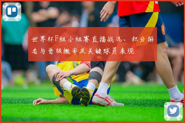 世界杯F组小组赛直播战况、积分排名与晋级概率及关键球员表现
