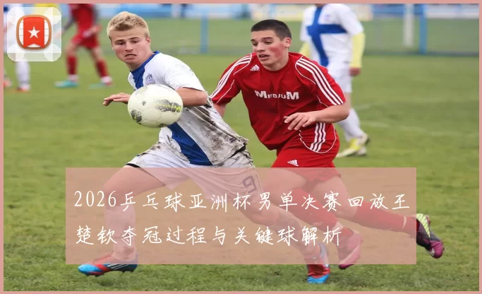 2026乒乓球亚洲杯男单决赛回放王楚钦夺冠过程与关键球解析