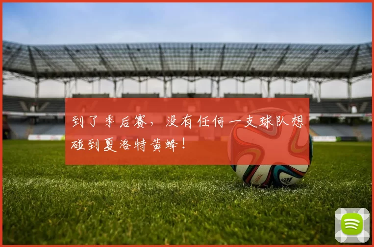 到了季后赛，没有任何一支球队想碰到夏洛特黄蜂！