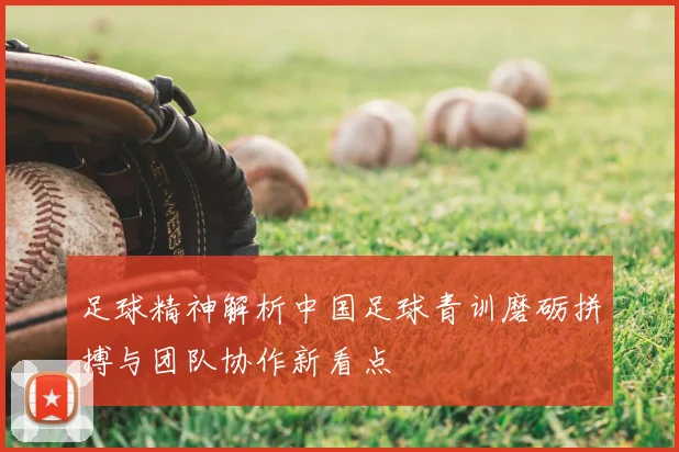 足球精神解析中国足球青训磨砺拼搏与团队协作新看点