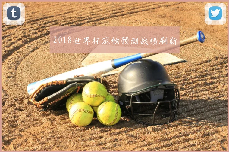 2018世界杯宠物预测战绩刷新