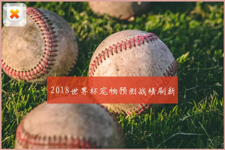 2018世界杯宠物预测战绩刷新